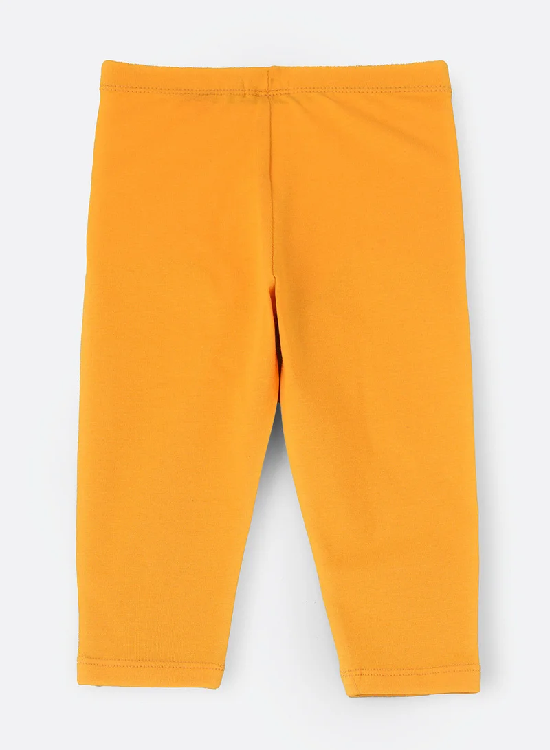 Jelliene Knit basic legging