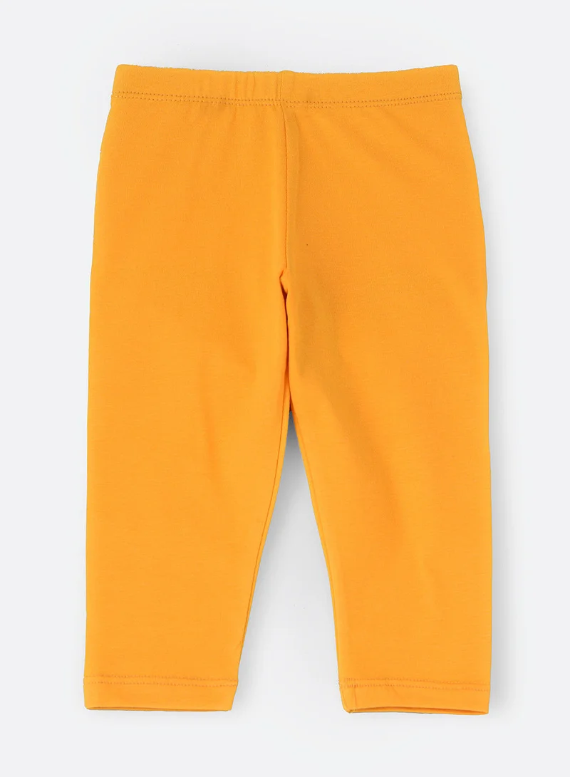 Jelliene Knit basic legging