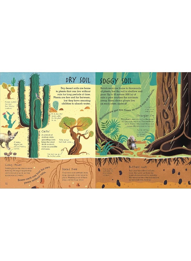 RHS Under Your Feet: Soil, Sand and other stuff  - Image 5