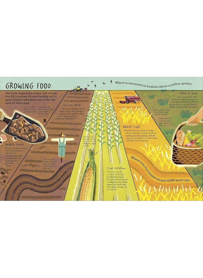 RHS Under Your Feet: Soil, Sand and other stuff  - Image 4