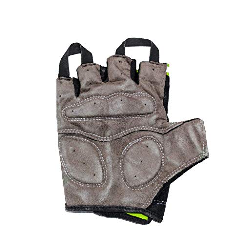 Raida Multi-Purpose Cycling & Gym Gloves | Palm Protection | Vegan-Friendly | Thumb Sweat Wiper | Lightweight & Breathable | Ideal for Workouts, Fitness & Outdoor Rides (Red, 2XL) - Image 2