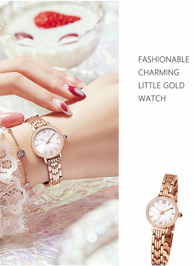 roaiss - Ladies Quartz Watch, Stylish and Elegant Waterproof Wrist Band Watch, Vintage Round Dial for Office Work Business Travel Dating, Gift for Women, Round(Rose Gold) - Image 1