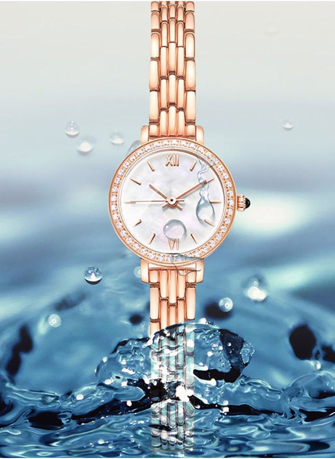 roaiss - Ladies Quartz Watch, Stylish and Elegant Waterproof Wrist Band Watch, Vintage Round Dial for Office Work Business Travel Dating, Gift for Women, Round(Rose Gold) - Image 1