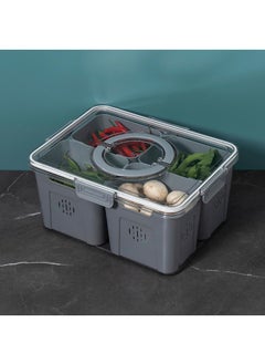 Y&D Kitchen Food Vegetable Portable Large Storage 4 Compartment Storage Box  - Image 4