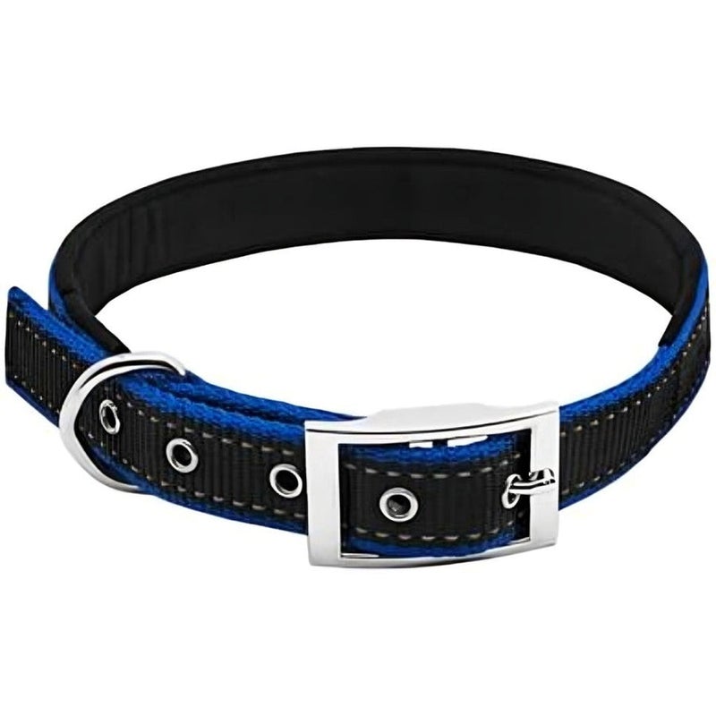 WESTMINSTER PE 1X26 BLK/BLU COLLAR