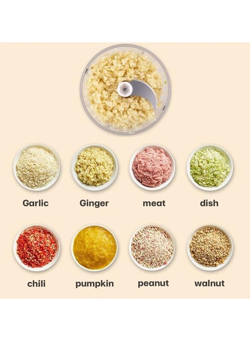 250ML Electric Food Processor, Cordless Mini Meat Chopper ,304 Stainless Steel Blade for Easy Cleaning and UseFor Garlic, Ginger, Onion, Meat, Fruits, Vegetables  - Image 5