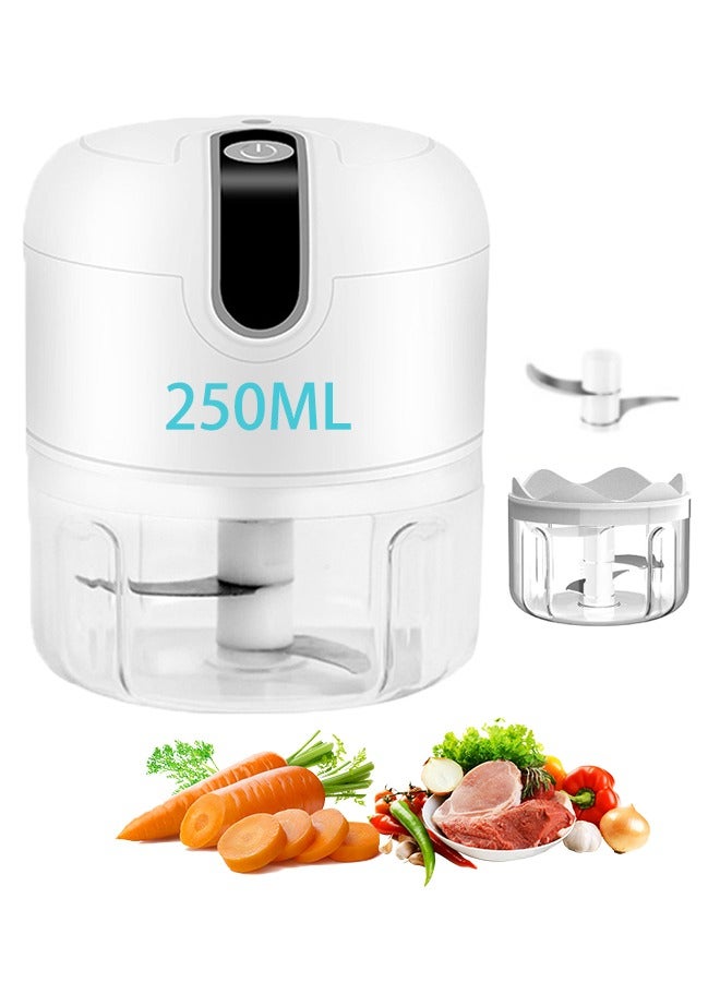 250ML Electric Food Processor, Cordless Mini Meat Chopper ,304 Stainless Steel Blade for Easy Cleaning and UseFor Garlic, Ginger, Onion, Meat, Fruits, Vegetables  - Image 1