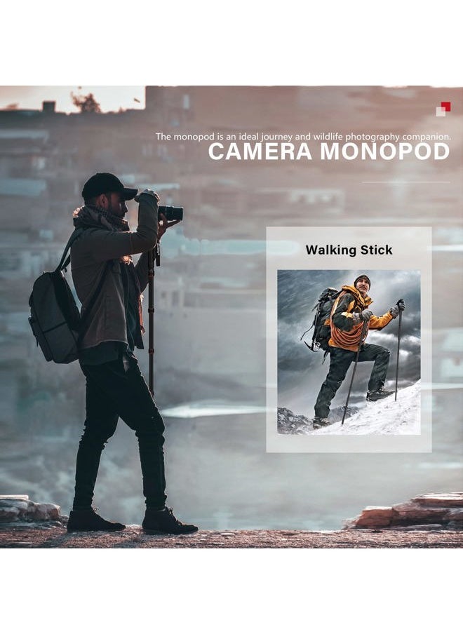 Manbily - Camera Monopod Aluminum Portable Compact Lightweight Travel Monopod with Carrying Bag Walking Stick Handle,for DSLR Canon Nikon Sony Video Camcorder,6 Sections up to 61-in (A-555L) - Image 1