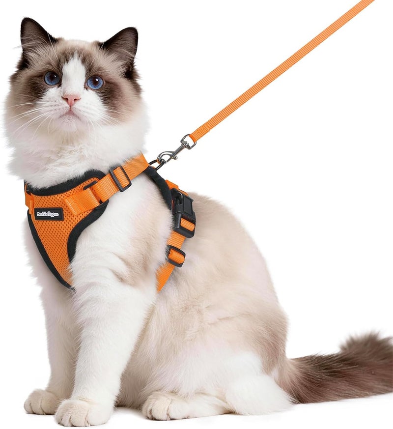 Rabbitgoo Cat Harness and Leash Set, Escape Proof Vest, M, Orange | Soft Breathable Mesh, No-choke Adjustable Fit, Snap Buckles, Sturdy Clip, Reflective Strips, for Medium to Large Cats Walks - Image 1