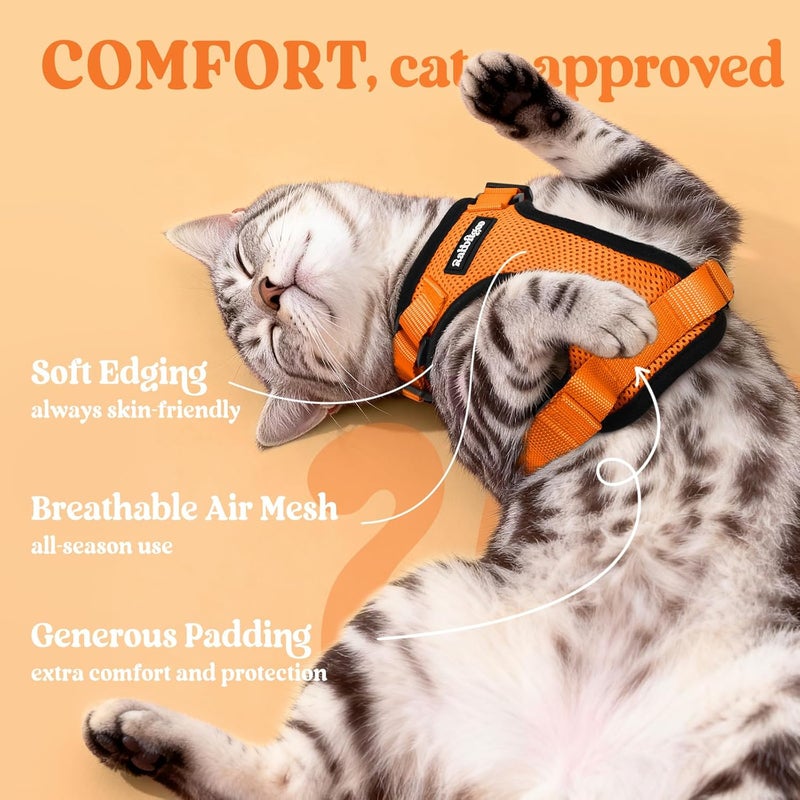 Rabbitgoo Cat Harness and Leash Set, Escape Proof Vest, M, Orange | Soft Breathable Mesh, No-choke Adjustable Fit, Snap Buckles, Sturdy Clip, Reflective Strips, for Medium to Large Cats Walks - Image 4