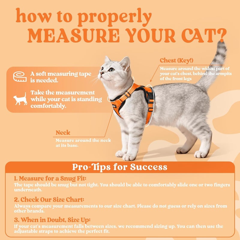 Rabbitgoo Cat Harness and Leash Set, Escape Proof Vest, M, Orange | Soft Breathable Mesh, No-choke Adjustable Fit, Snap Buckles, Sturdy Clip, Reflective Strips, for Medium to Large Cats Walks - Image 2