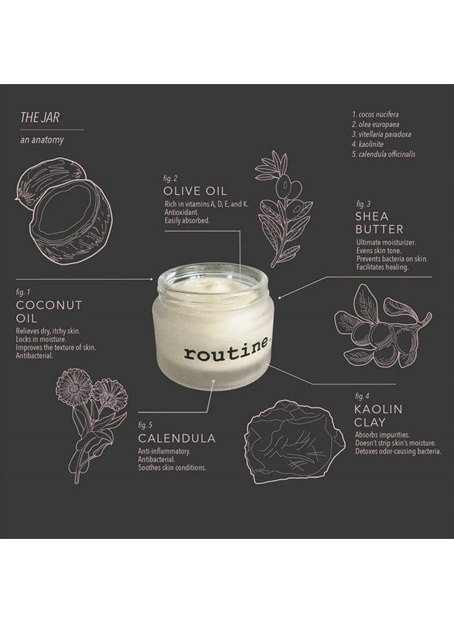 Routine Wellness ROUTINE Natural Deodorant Jar for Women and Men - 58g | Antiperspirant Deodorant for All Types of Skin | Pineapple and Vanilla Scented Travel Size Refillable Deodorizer | Aluminum Free – Cat Lady  - Image 5