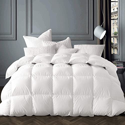 Globon Winter White Goose Down Comforter Queen Size,Down Duvet Insert,800 Fill Power,420 Thread Count Ultra Soft Noiseless Shell with Corner Tabs,White - Image 1