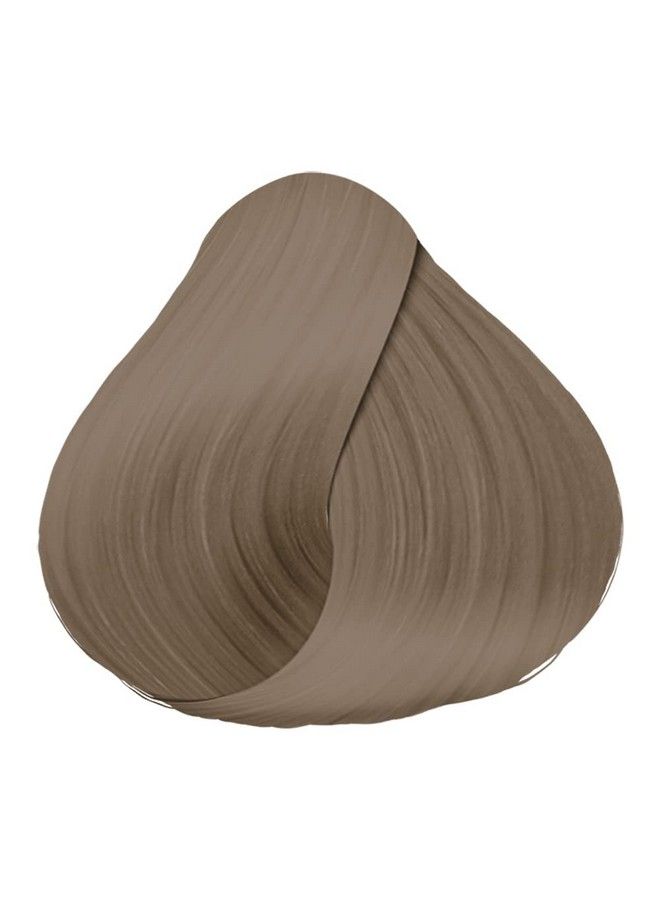 Schwarzkopf Professional Igora Royal Permanent Hair Color 81 Light Blonde Cendre 60 Gram - Image 3