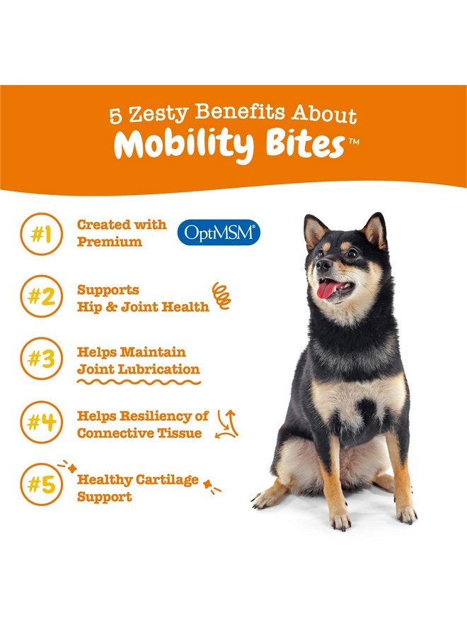 Zesty Paws Mobility Bites for Dogs, Hip and Joint, All Ages, Duck, 90 Soft Chews, 12.7 oz (360 g), Zesty Paws Discontinued Listing DO NOT Buy - Image 2