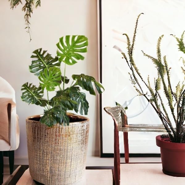 Fox & Fern New Imported Ceramic Round Flower Pot (Dia- 5 Inch) for All Kinds of Flower Planters and Green Plants (Home/Indoor and Garden/Outdoor) (GA133B-039) - Image 3