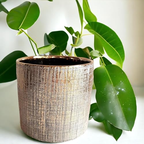 Fox & Fern New Imported Ceramic Round Flower Pot (Dia- 5 Inch) for All Kinds of Flower Planters and Green Plants (Home/Indoor and Garden/Outdoor) (GA133B-039) - Image 2