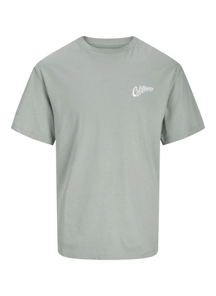 JACK & JONES JJZEKIEL TEE SS CREW NECK