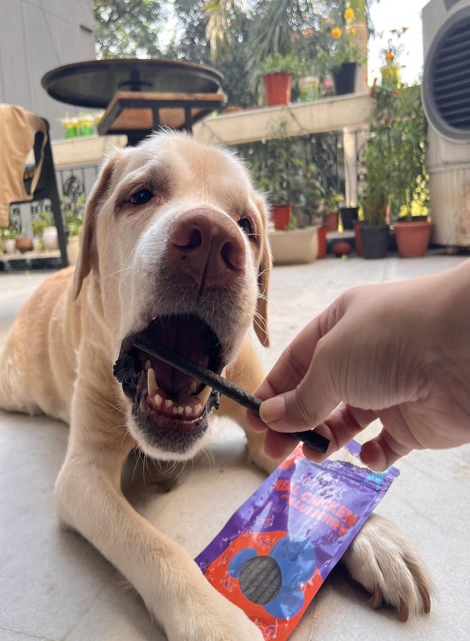 Sploot Dog Soft Chew Sticks - Dog Treats for Adult Dogs & Puppies - Chicken and Blueberry Soft Snacks and Biscuits for Pets, Real Dog Food - Image 3
