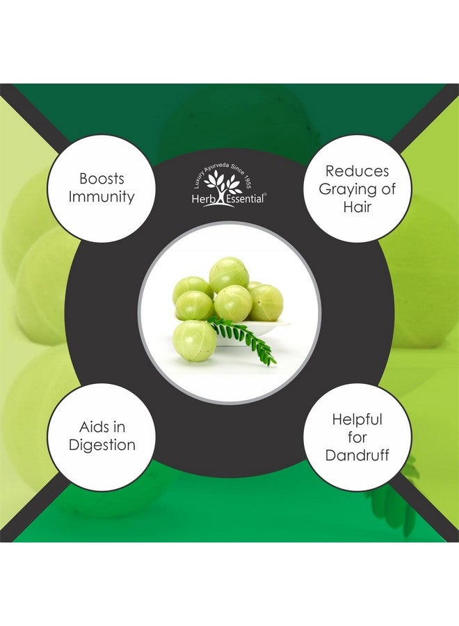 Herb Essential Herb Essential Pure Amla Powder - 100g | 100% Natural Indian Gooseberry | Rich in Vitamin C | Supports Hair Growth, Skin Health & Immunity | Vegan & Paraben-Free - Image 4