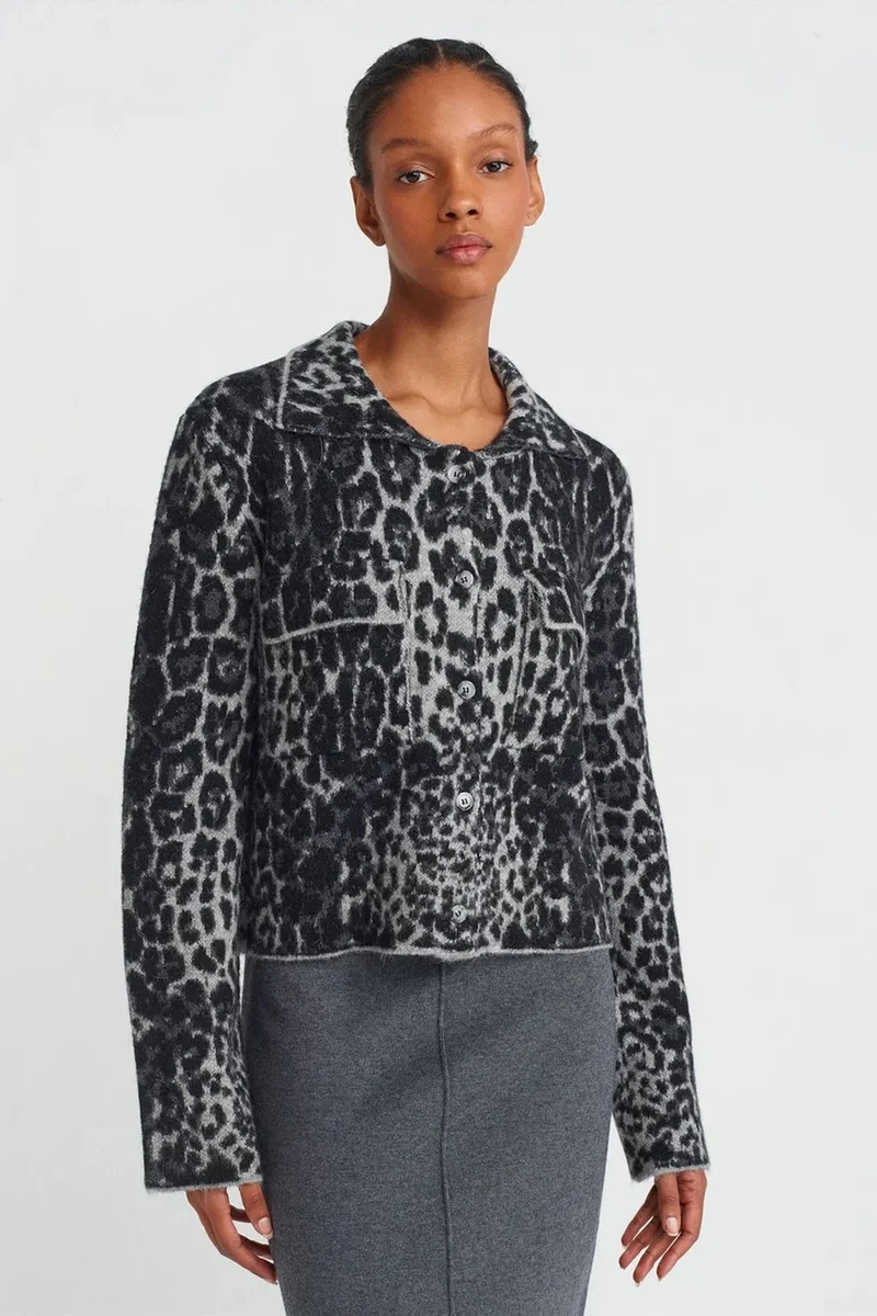 DILVIN Leopard Jacquard Button Cardigan