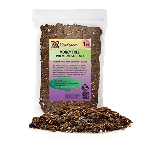 GARDENERA Money Tree Potting Soil Mix for Planting or Repotting Guiana Chestnut, Soil Blended to Properly Grow Money Tree Plants - (1 Quart Bag) - Image 1