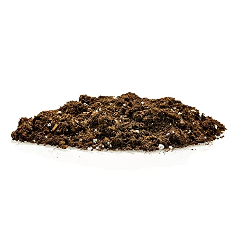 GARDENERA Money Tree Potting Soil Mix for Planting or Repotting Guiana Chestnut, Soil Blended to Properly Grow Money Tree Plants - (1 Quart Bag) - Image 5