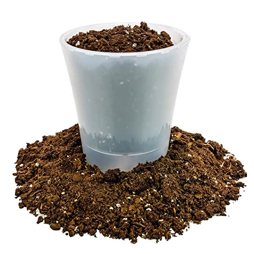 GARDENERA Money Tree Potting Soil Mix for Planting or Repotting Guiana Chestnut, Soil Blended to Properly Grow Money Tree Plants - (1 Quart Bag) - Image 4