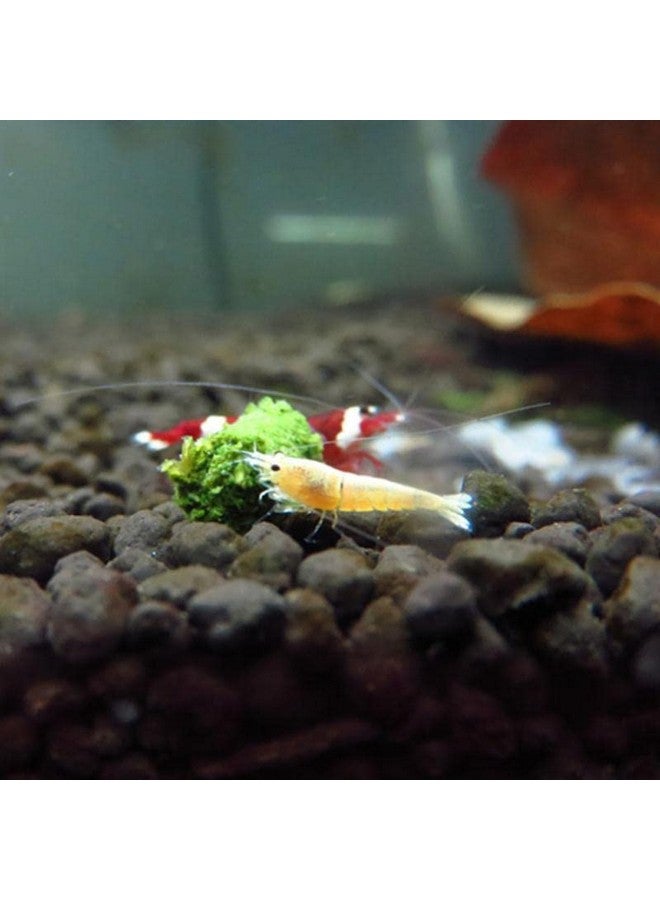 VAYINATO Wa Shrimp Sticks 15G Sinking Type Food Stick For Shrimps(Yellow Colour Enhancing With Marigold Flower) - Image 4