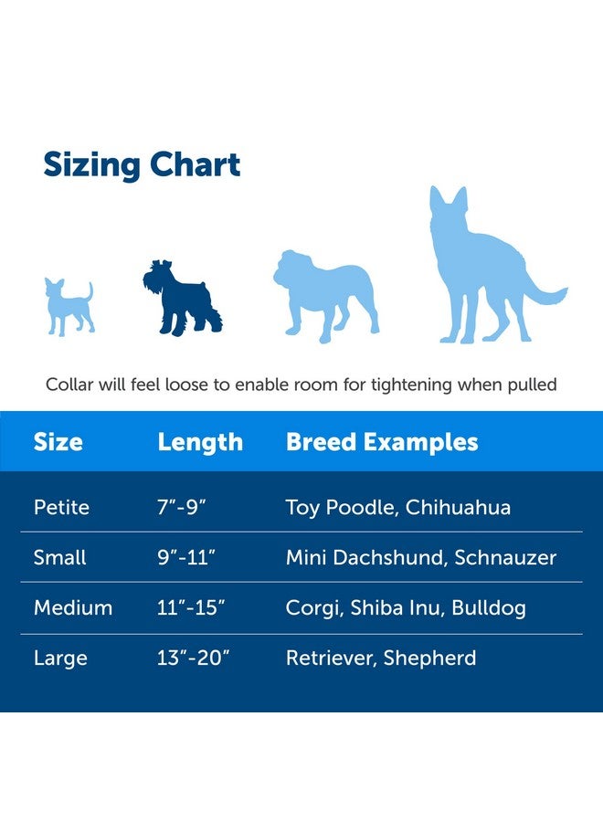 بيت سيف طوق مارتينجال للكلاب من بيت سيف مع مشبك سريع الإغلاق - صغير، 3/4 بوصة، بنفسجي غامق - Image 4