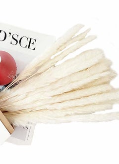 HomarKet 30 Pcs 45cm Natural Dried Pampas Grass for Flower Arrangements Home Decor  - Image 3