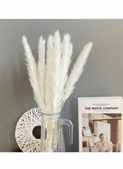 HomarKet 30 Pcs 45cm Natural Dried Pampas Grass for Flower Arrangements Home Decor  - Image 2