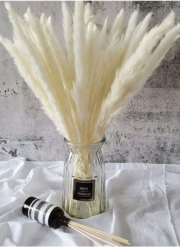 HomarKet 30 Pcs 45cm Natural Dried Pampas Grass for Flower Arrangements Home Decor  - Image 1