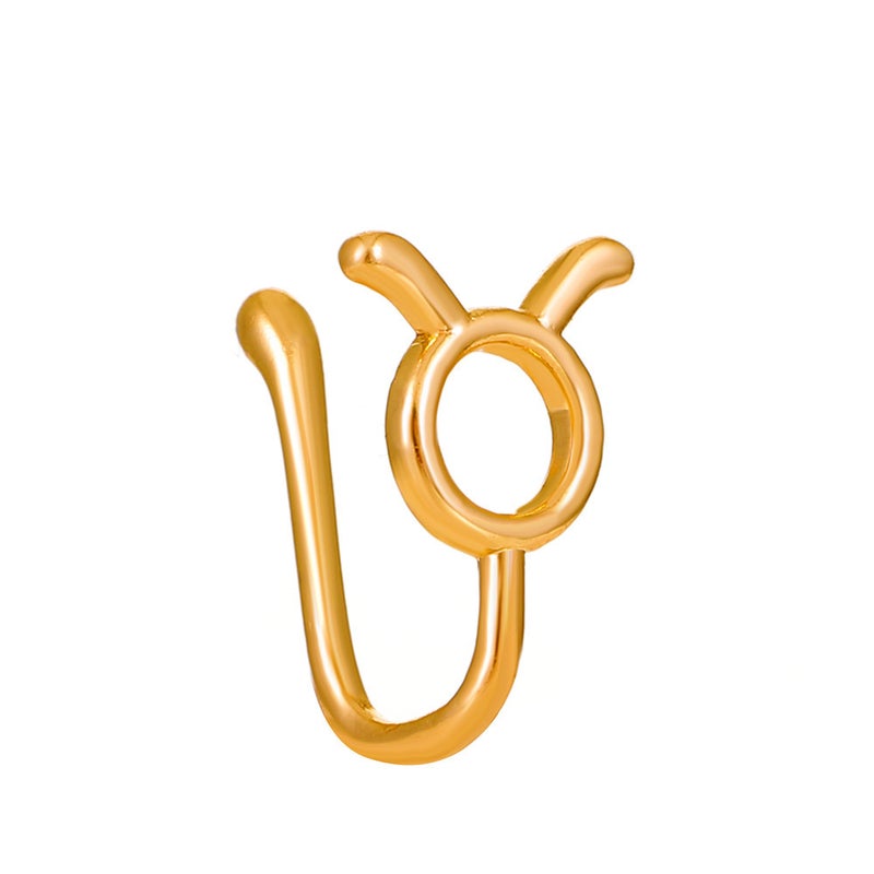 Best Selling Creative Non-Perforated U-Shaped Nose Clip Female Non-Perforated Twelve Constellation Nose Ring Puncture Jewelry - Image 1