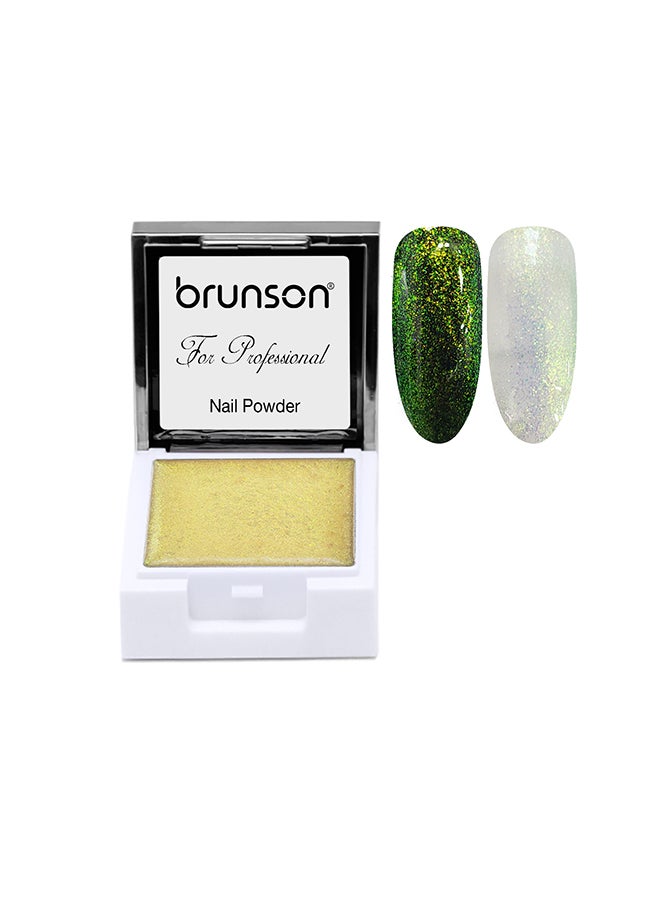 Nail Art Powder UV Gel Powder Aurora Painting Square Liquid Powder Solid Pigment TP12