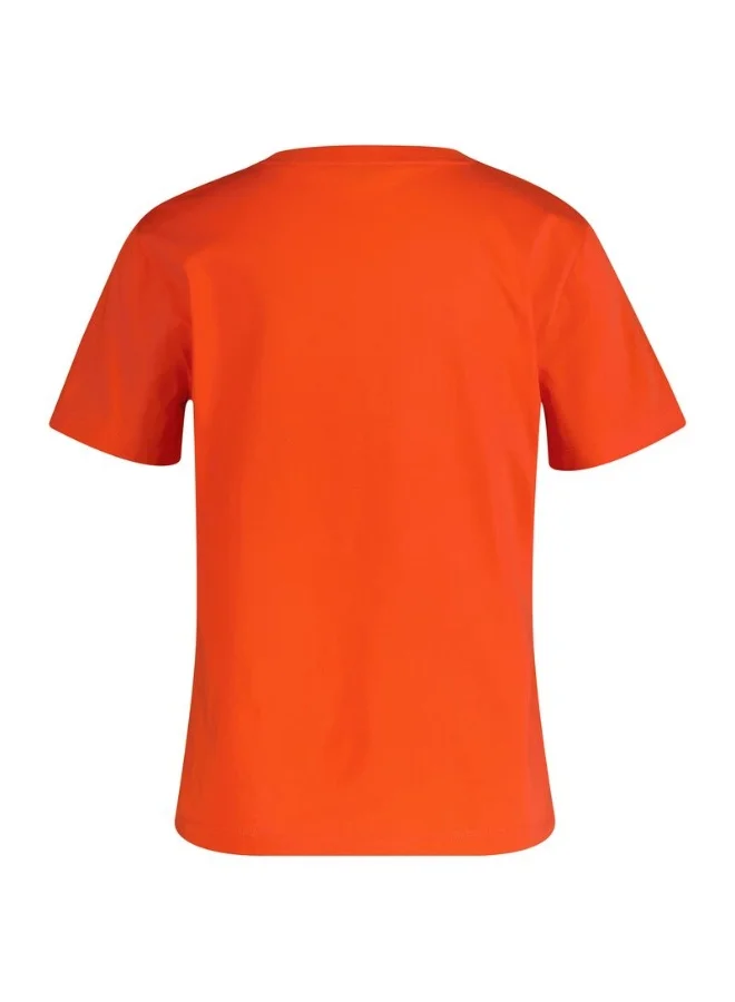 GANT Gant Regular Shield Ss T-Shirt