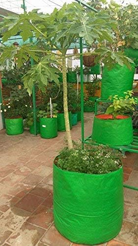 GroWonder Plant Grow Bags 18x18 inches, 230 GSM Strong, Terrace Gardening Vegetable Planting Pots, Woven Fabric Leafy Fruits Growing Containers, Pack of 5 - Image 5