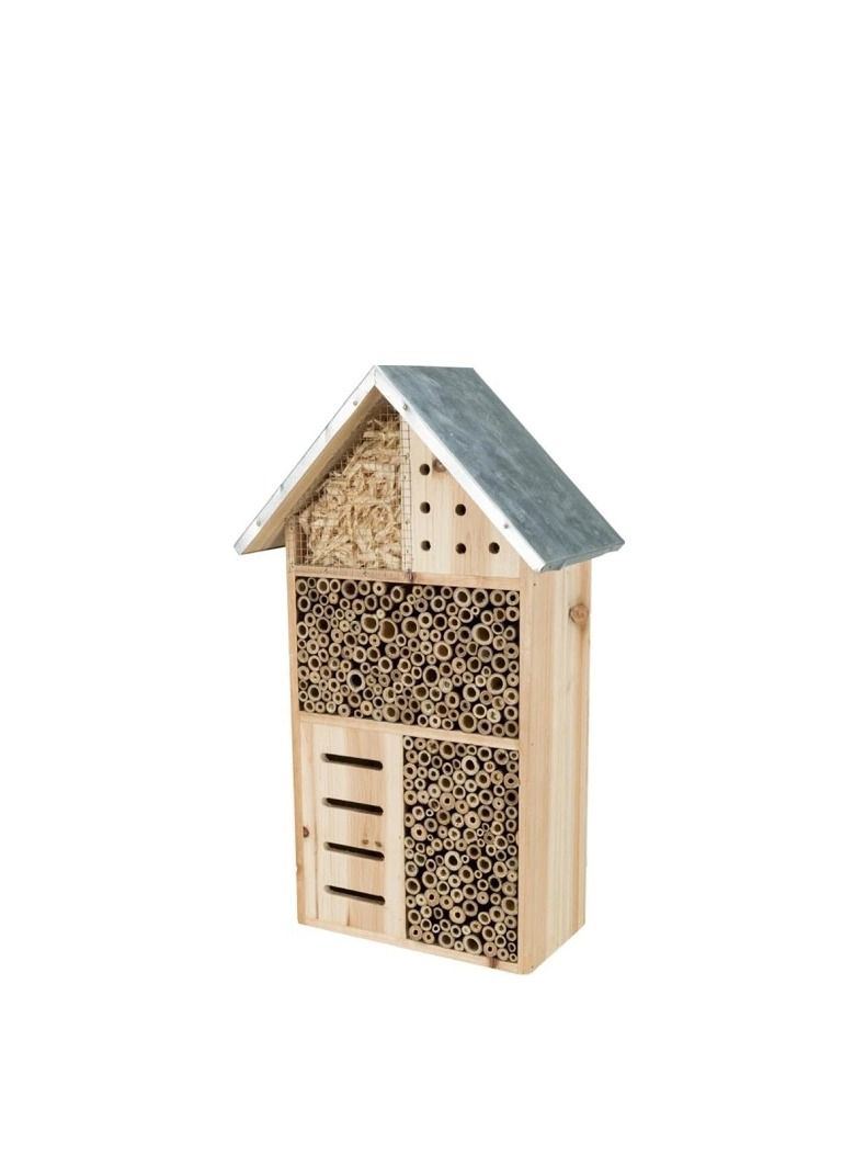 تريكسي فندق تريكسي إنسكت - Image 3