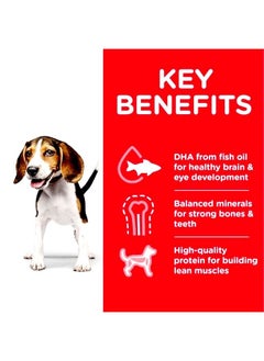 Hill's Science Plan Puppy Wet Food With Chicken - 370Gm  - Image 2