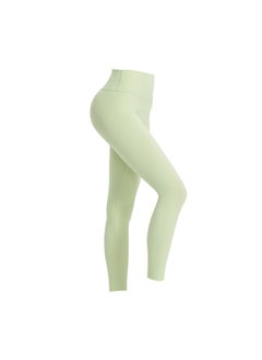 Aloe Green