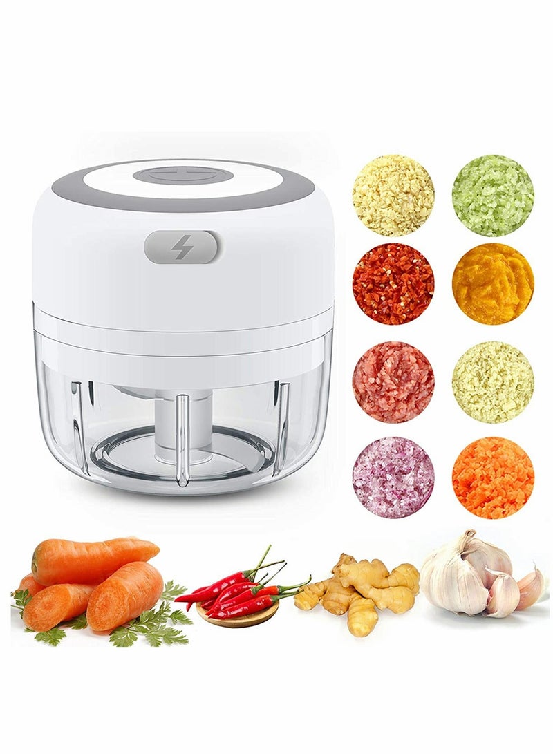 مفرمة ثوم كهربائية صغيرة محمولة لاسلكية مع شحن USB للبصل والخضروات والسلطة / الفلفل 100 مل - Image 1