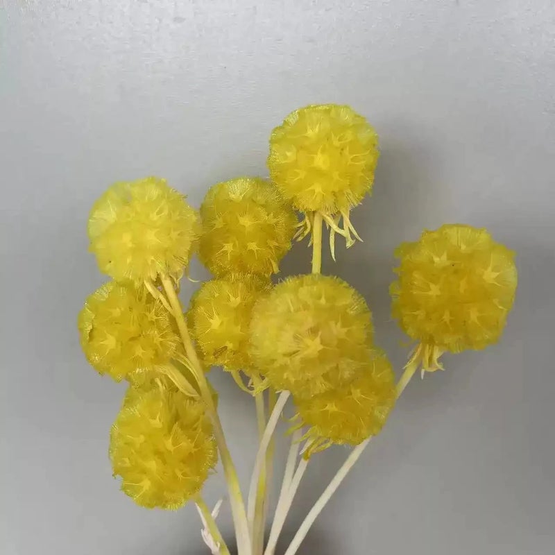 Bluejw Dried Flower Arrangement for Home & Office Decor – Natural Dried Plants Bunch with Leaf Accents, Perfect for Wedding Bridal Bouquet, Party Decoration, and Household Floral Display - Image 4