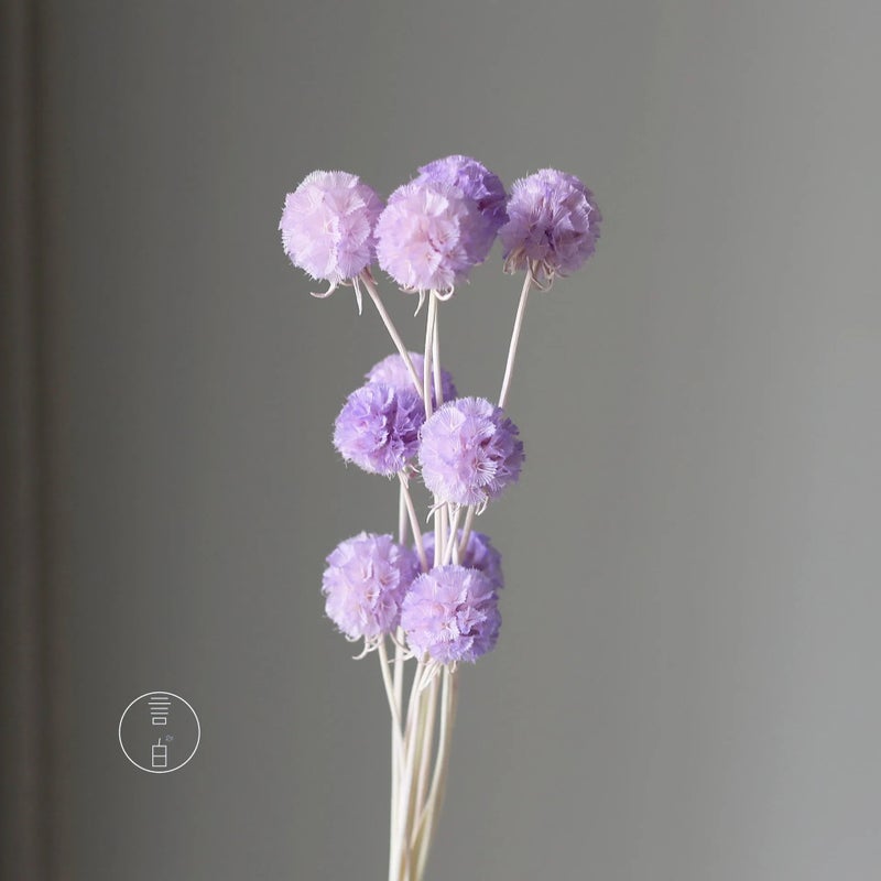 Bluejw Dried Flower Arrangement for Home & Office Decor – Natural Dried Plants Bunch with Leaf Accents, Perfect for Wedding Bridal Bouquet, Party Decoration, and Household Floral Display - Image 1