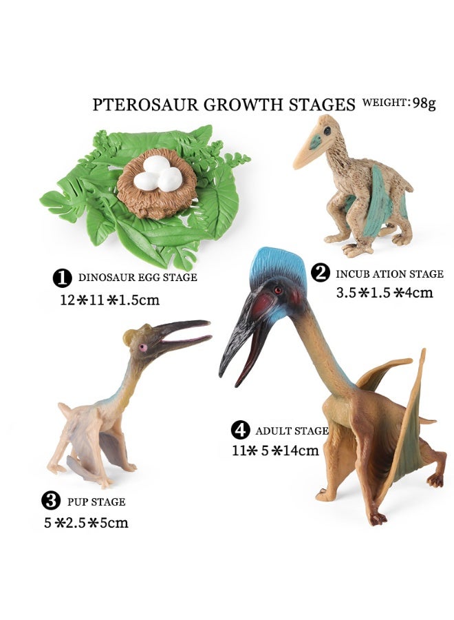 HALAMODO 4 Pcs 2456 Hatz Pterosaur Growth Cycle Model Set (Includes Dinosaur Egg, Baby, Juvenile, And Adult Stages), Realistic Miniature Animal Model, High-Quality Plastic Material, For Children Cognitive Education, Bath And Pool Toys, Boys Girls Birthday Party Gifts - Image 1