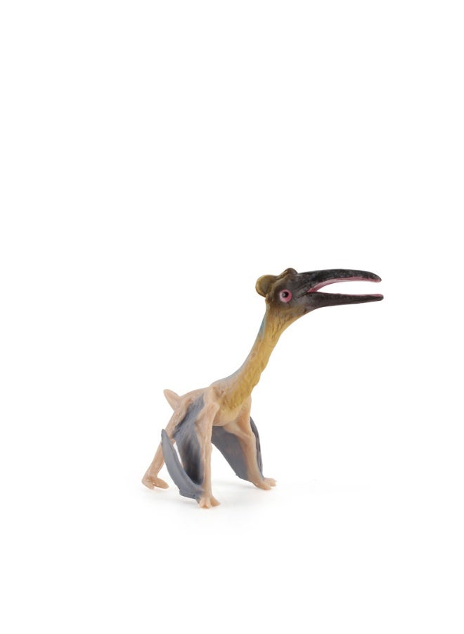HALAMODO 4 Pcs 2456 Hatz Pterosaur Growth Cycle Model Set (Includes Dinosaur Egg, Baby, Juvenile, And Adult Stages), Realistic Miniature Animal Model, High-Quality Plastic Material, For Children Cognitive Education, Bath And Pool Toys, Boys Girls Birthday Party Gifts - Image 3