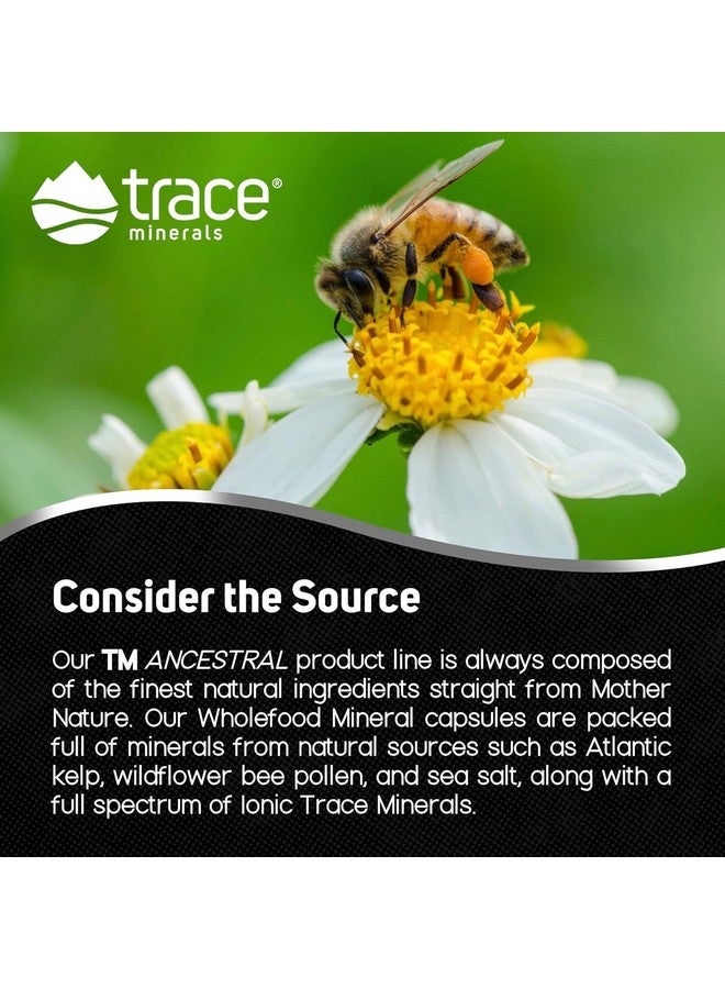 Trace Minerals Wholefood Minerals - Body & Brain Health Support Supplement - Food Health Supplement with Wildflower Bee Pollen & Atlantic Kelp - Aids Nerve Function & Digestive Health - 180 Capsules - Image 5