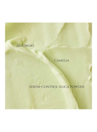 Matte Sun Stick : Mugwort+Camelia for face Sunscreen moisturizing with SPF 50 PA++++ Korean sunscreen skincare 18g 18grams - view 5