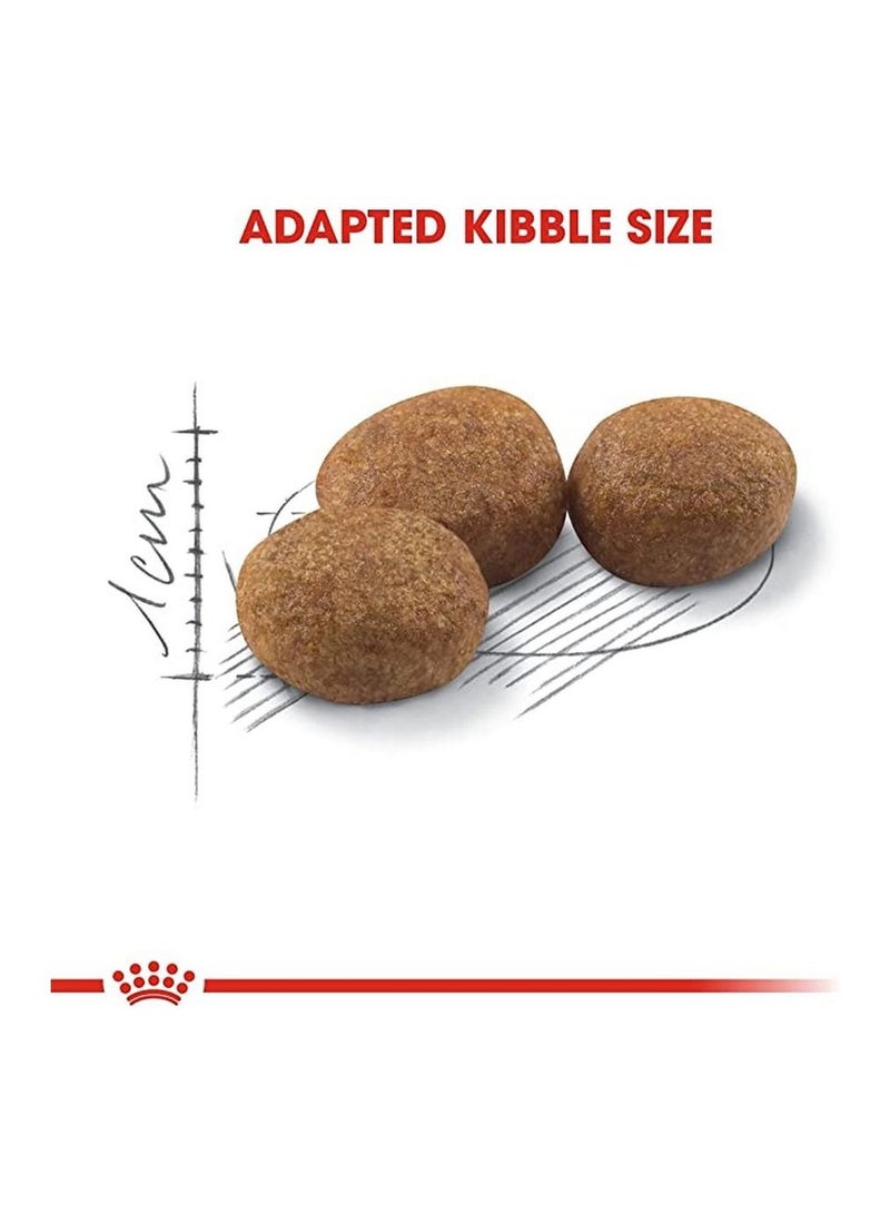 رويال كانين قطط طعام جاف للقطط 2 كجم - Image 5