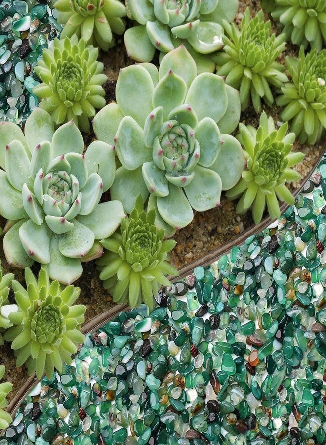 Halatool Natural Green Agate Pebbles Rocks Stones Gravel- Decorative Ornamental Stones, Bonsai Rocks for Succulents Plants, Vase Fillers, Aquarium, Fish Tank, Terrarium, Fairy Gardening Decorative 2.2Lb, 7-9mm - Image 5