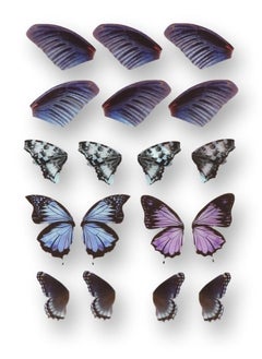 Graffiti Resin Sticker Shape Butterflies For Artworks  - Image 2
